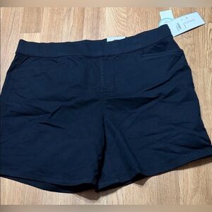 🌟 Intro. ♥️ Love the Fit Daisy Short Power Stretch Tummy Control Pull-On | 16W 🌟